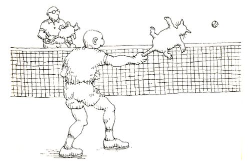 101 uses of a dead cat: tennis racket