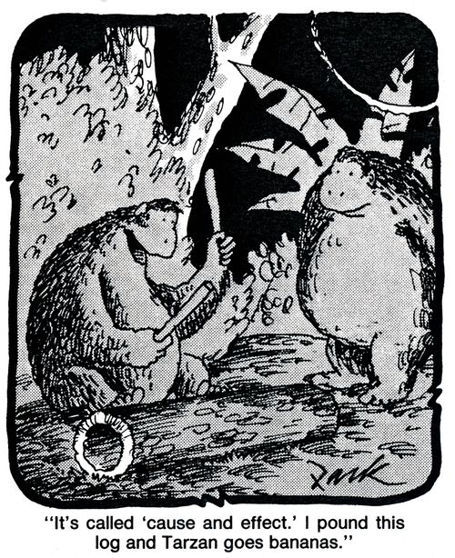 'It's called 'cause and effect.' I pound this log and Tarzan goes bananas.'