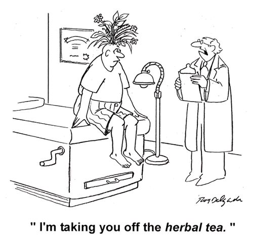 'I'm taking you off the herbal tea.'