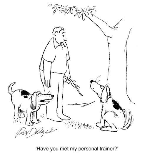 'Have you met my personal trainer?'