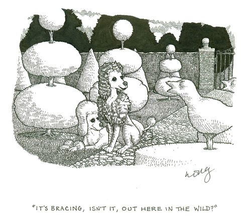 'It's bracing, isn't it, out here in the wild?'