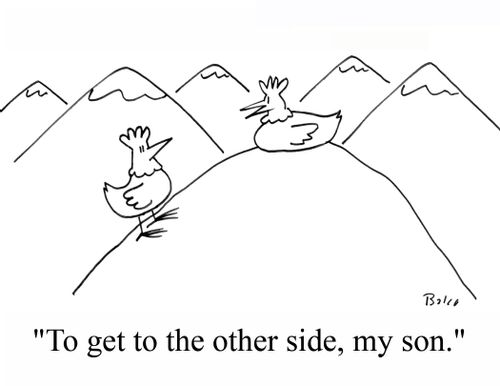 'To get to the other side, my son.'