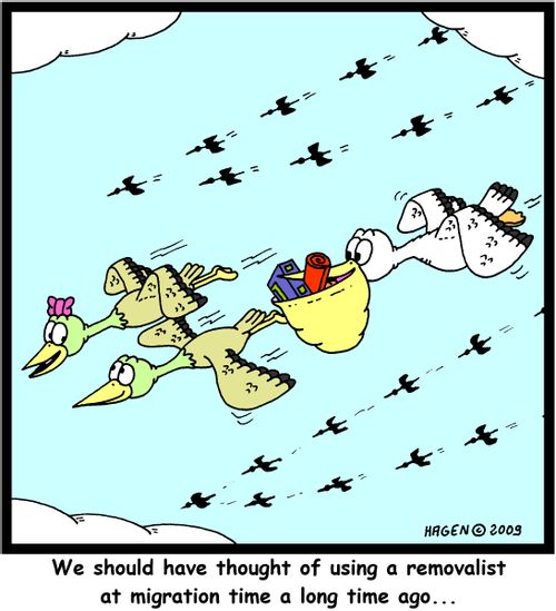 'We should have thought of using a removalist at migration time a long time ago...'