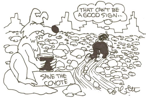 Save the Coyote: 'That can't be a good sign...'