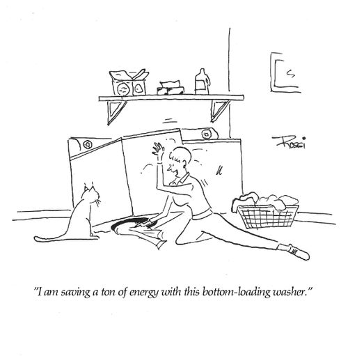 'I am saving a ton of energy with this bottom-loading washer.'