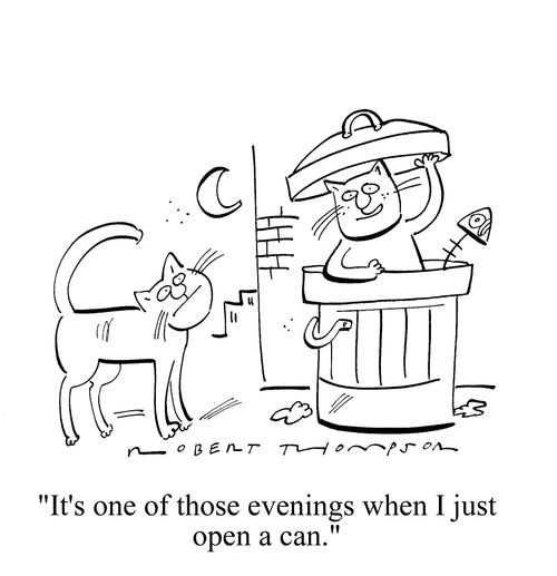 'It's one of those evenings when I just open a can.'