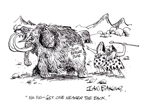 'No no - Get one nearer the back.'