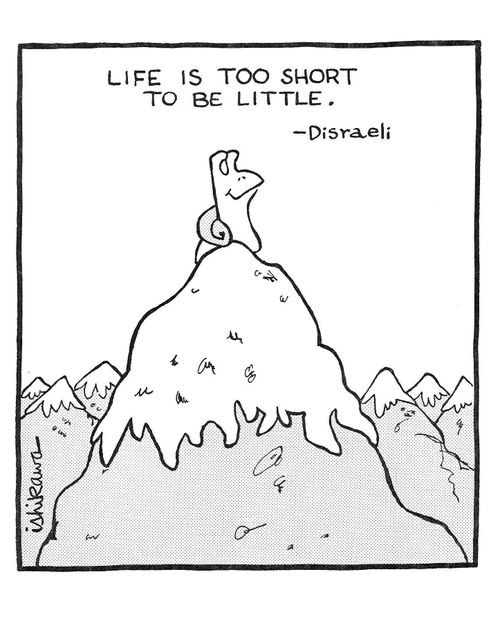 'Life is too short to be little.'