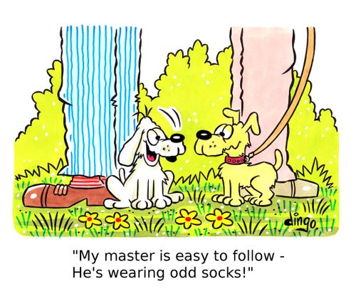'My Master is easy to follow - He's wearing odd socks!'