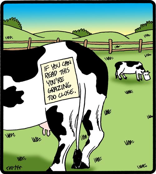 'If you can read this you're grazing too close.'