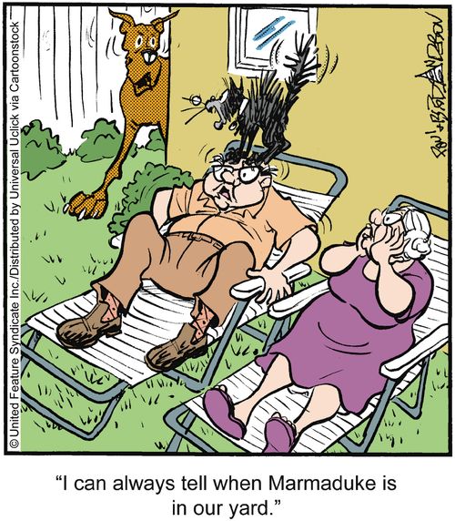 'I can always tell when Marmaduke is in our yard.'