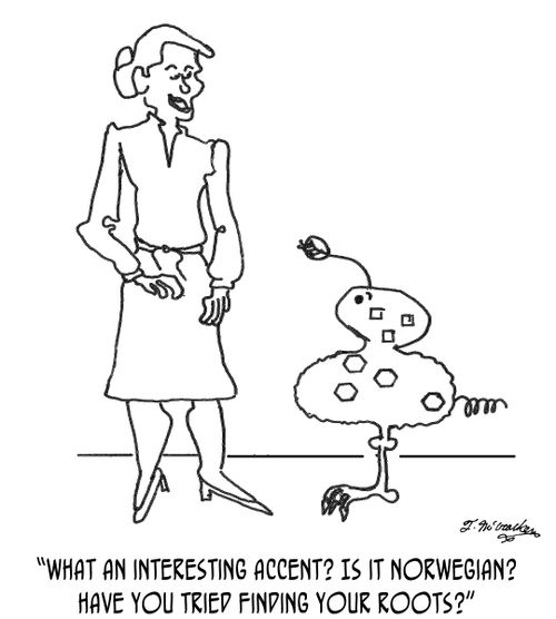'What an interesting accent? Is it Norwegian? Have you tried finding your roots?'