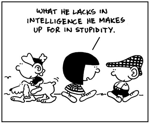 'What he lacks in intelligence he makes up for in stupidity.'