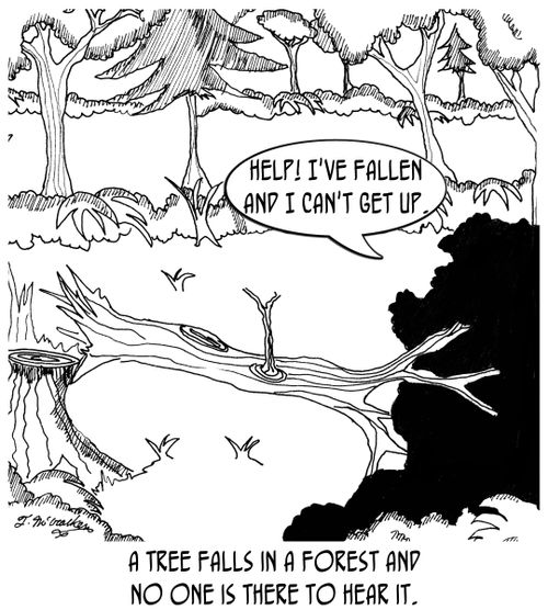 A tree falls in a forest and no one is there to hear it.