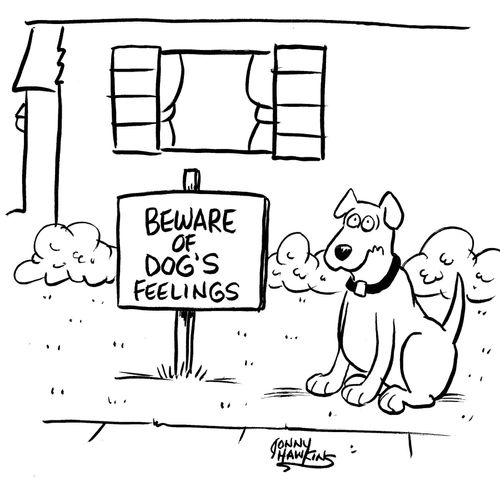 Dog next to sign that says, 'Beware of Dog's Feelings'.