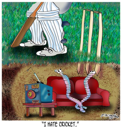 'I hate cricket.'