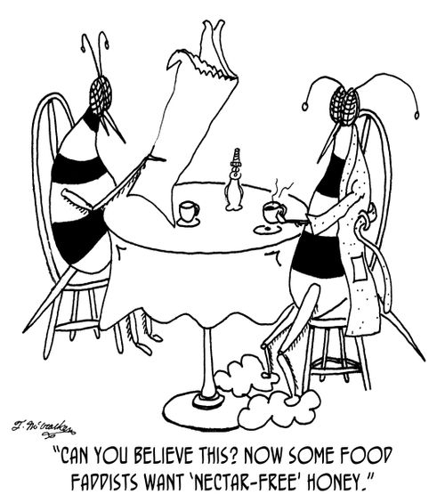 'Can you believe this? Now some food faddists want 'nectar-free' honey.'