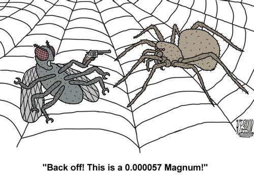 'Back off! This is a 0.000057 Magnum!'