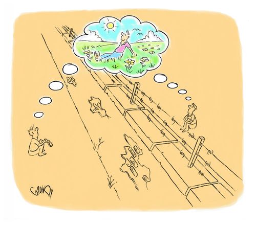 Border Dreams