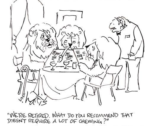 'We're retired. What do you recommend that doesn't require a lot of chewing?'