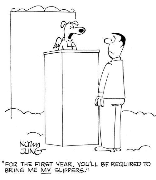 'For the first year, you'll be required to bring me MY slippers.'