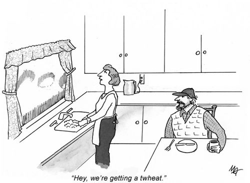 'Hey, we're getting a twheat.'