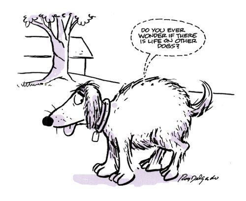 'Do you ever wonder if there is life on other dogs?'
