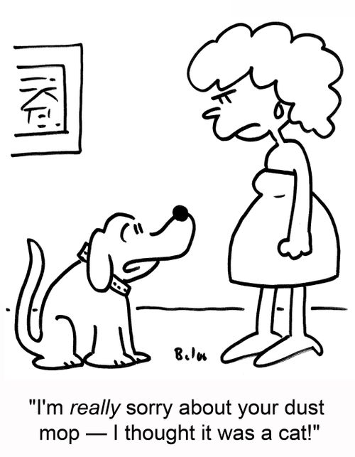I'm really sorry about your dust mop - I thought it was a cat!