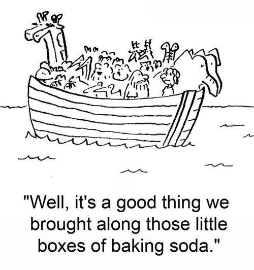 'Well, it's a good thing we brought along those little boxes of baking soda.'