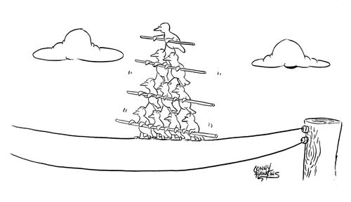Birds in pyramid walking on high wire.