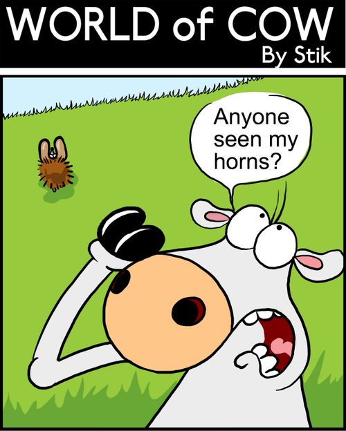 Anyone seen my horns?