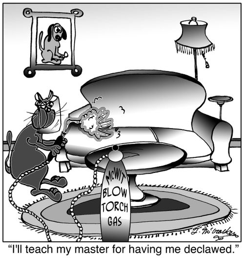 'I'll teach my master for having me declawed.'