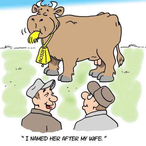 Cow Named After Farmer's Wife