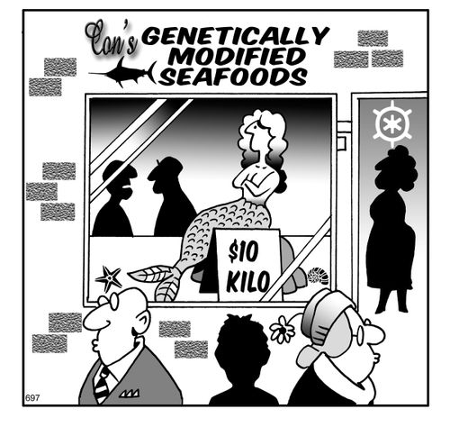 Genetically modified Seafoods.