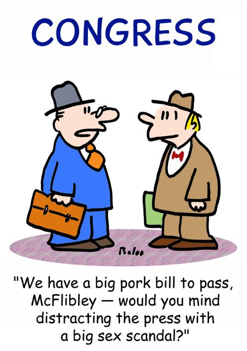 CONGRESS, 'We have a big pork bill to pass, McFlibley - would you mind distracting the press with a big sex scandal?'