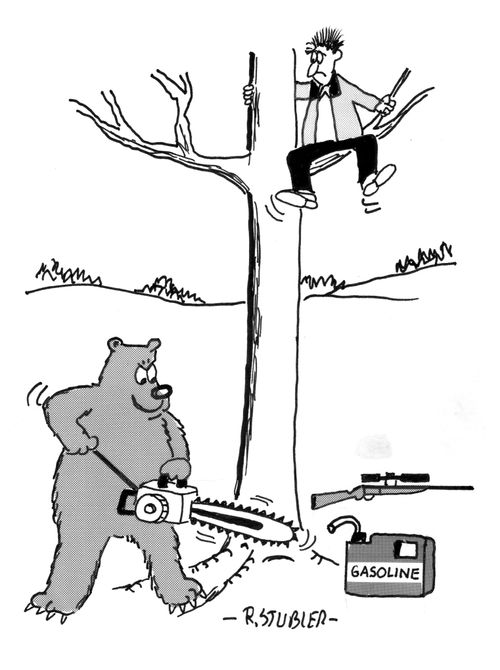 Bear hunter up a tree