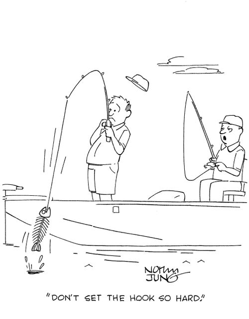 'Don't set the hook so hard.'
