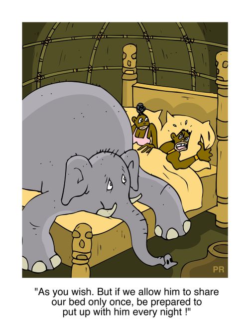 'If we allow him to share our bed only once, be prepared to put up with him every night!'
