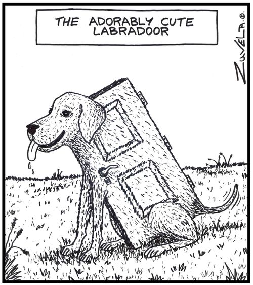 The adorably cute Labradoor (A dog in the shape of a door)