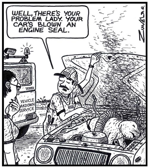 'Well, there's your problem lady. Your car's blown an engine seal.' 