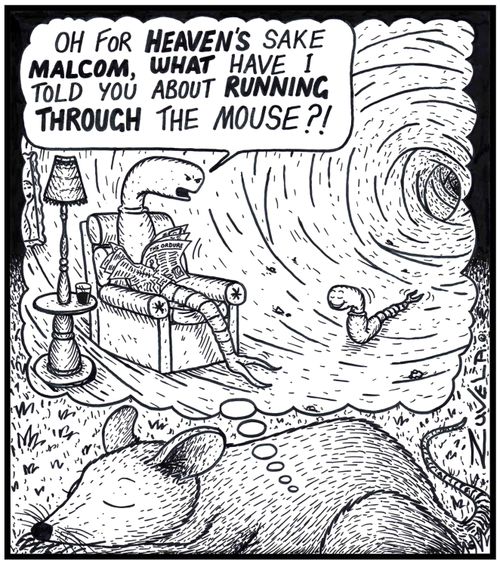 'Oh for HEAVEN'S sake MALCOM, WHAT have i told you about RUNNING THROUGH the Mouse?! 