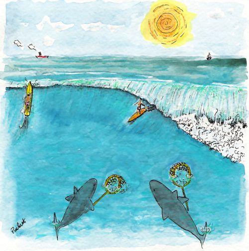 Two sharks lie-in-wait to net surfers.