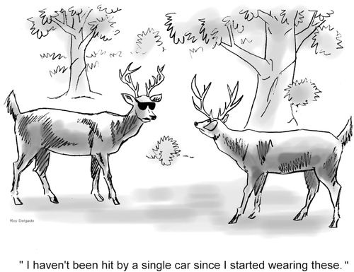 'I haven't been hit by a single car since I started wearing these.'