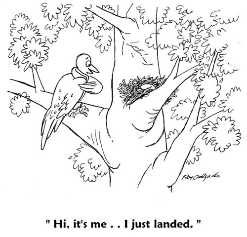'Hi, it's me... I just landed.'