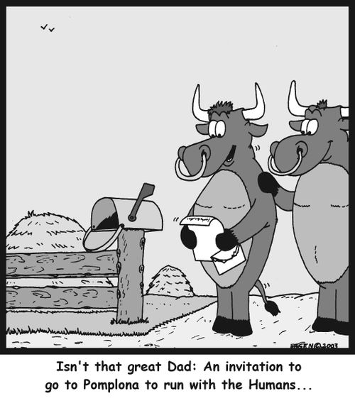 'Isn't that great Dad: An invitation to go to Pomplona to run with the Humans...'
