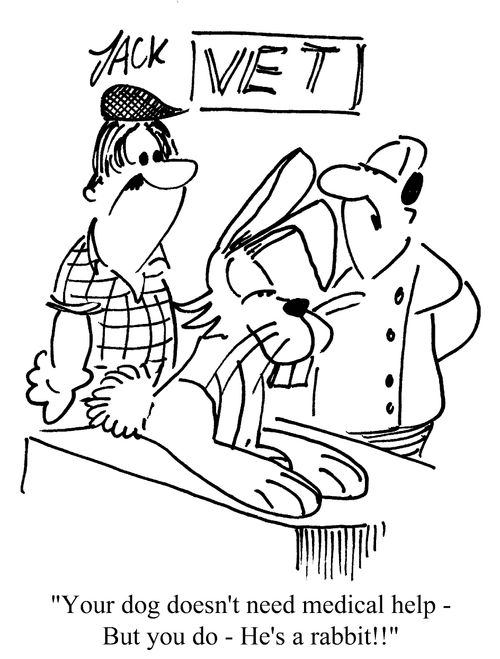 'Your dog doesn't need medical help - But you do - He's a rabbit!!'