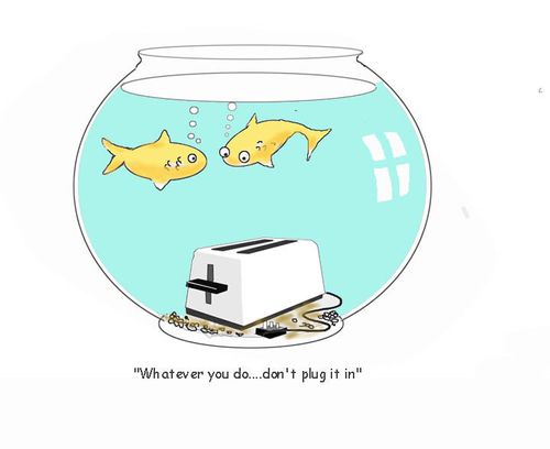 "Whatever you do...don't plug it in."