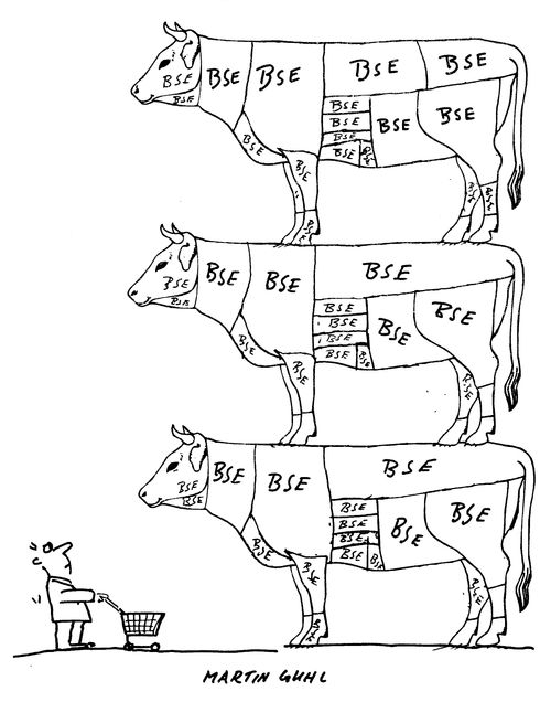 BSE
