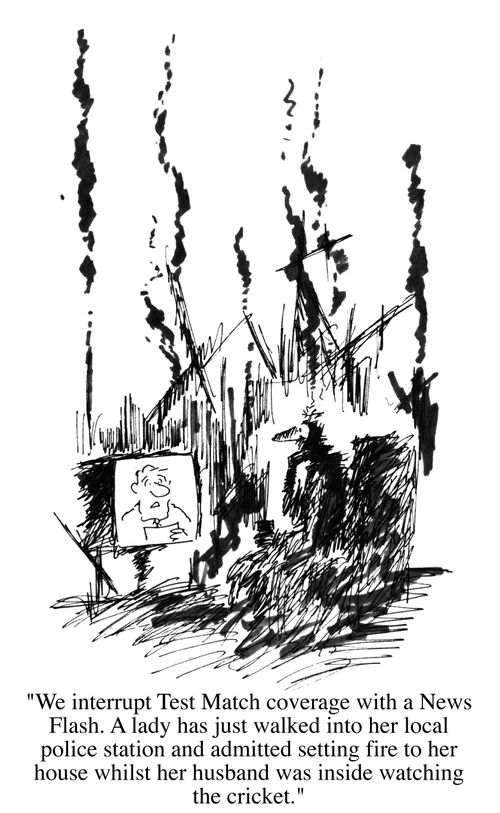 Cricket widow's revenge 3