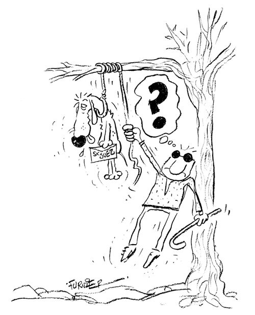 Guide dog committing suicide